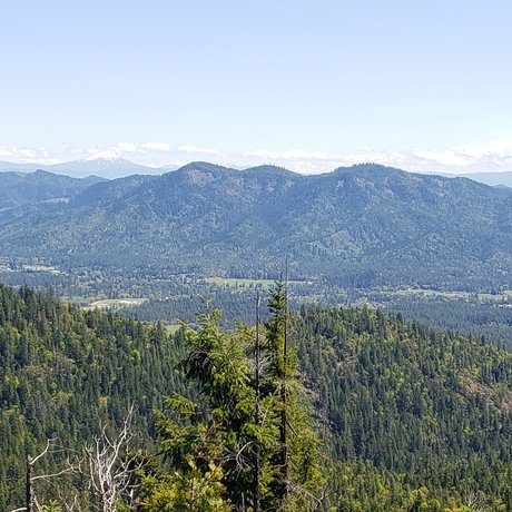 Mountainman adult star image