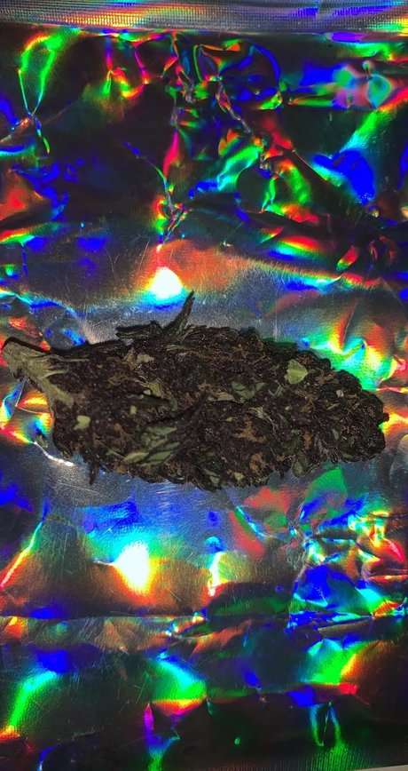 Alexander the Great erotic actress pics