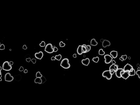 Honda star exclusive photos