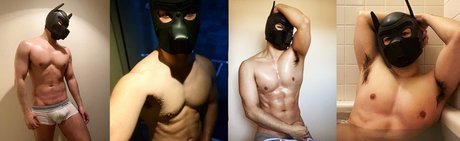 foccaseal star sex pics