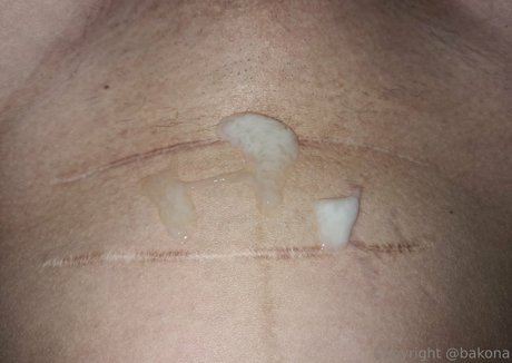 bakona art model archive