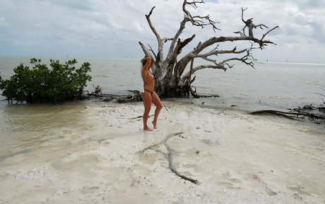 dreampixsxm model image