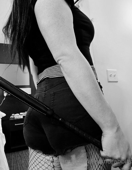 alexandrabbits top pornstar archive