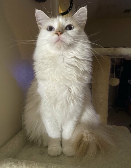 college teacher onlyfans nude pic