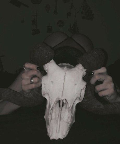 Fleshf1y sex model photo