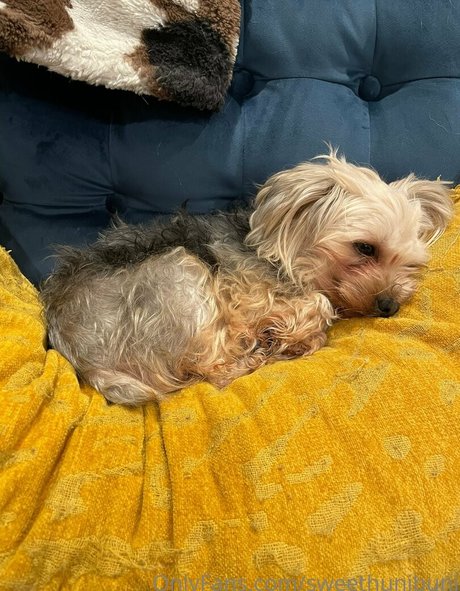 stepdaughter onlyfans beautiful porn pic