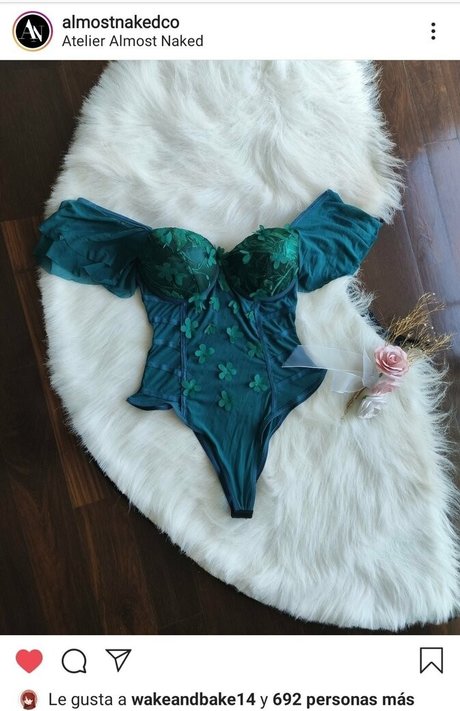 dreamnc erotic star galleries