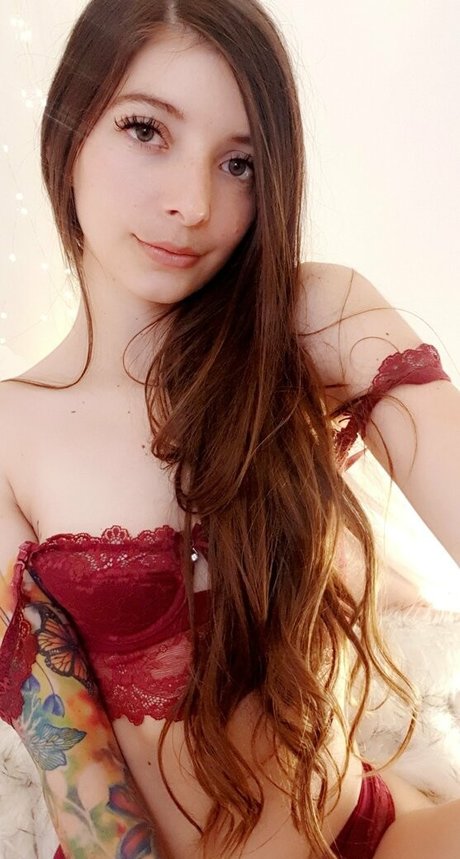 dreamnc model best pic