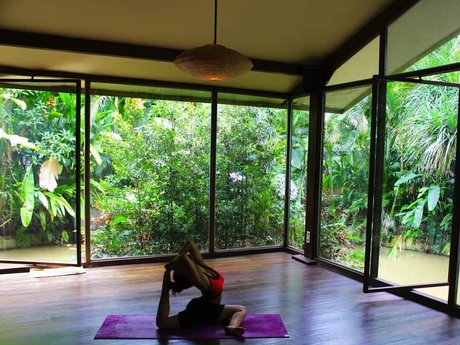 Feelinfree star high quality img