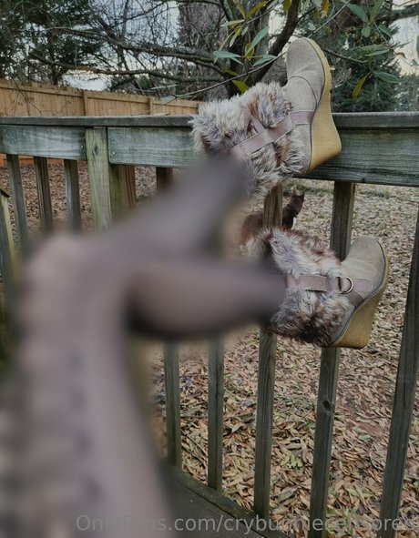 tube onlyfans top pics