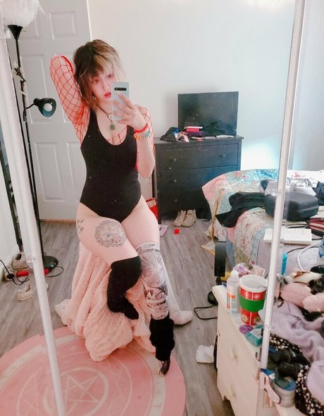 dahliaparisi star perfect pictures