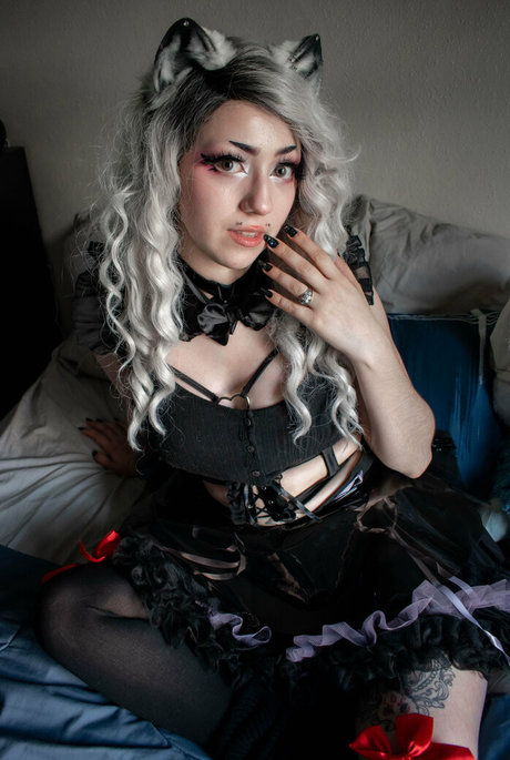 dahliaparisi star hd images