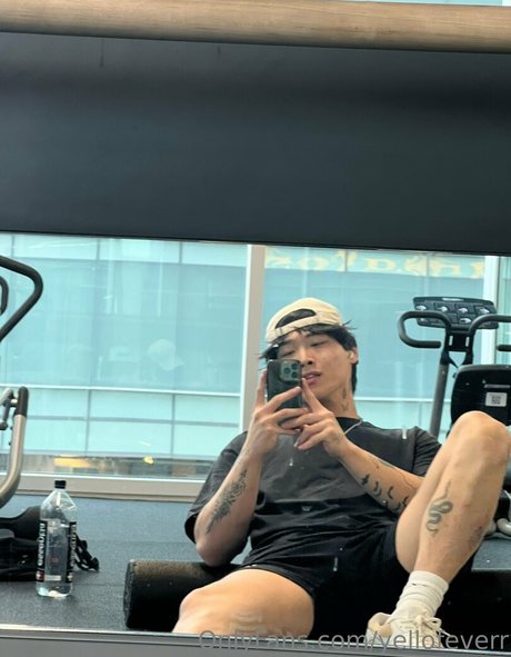 will pyun star erotic archive