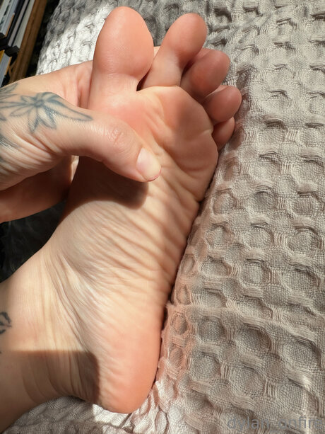 _DYLAN 4 FREE_ xxx pornstar image