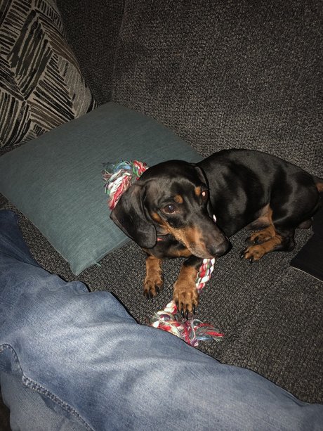 Daniel Gardner Jr_ model sexy img