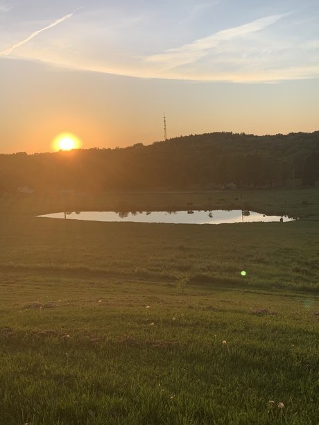 GracieBabie high quality star pics