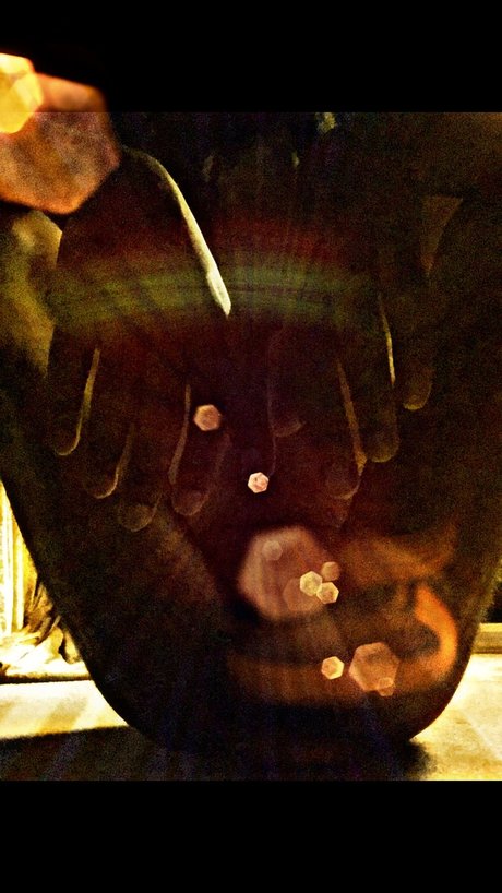 The Mystic nice star archive