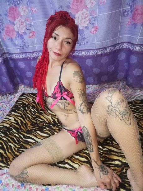 Gatita Feleena pornstar pictures