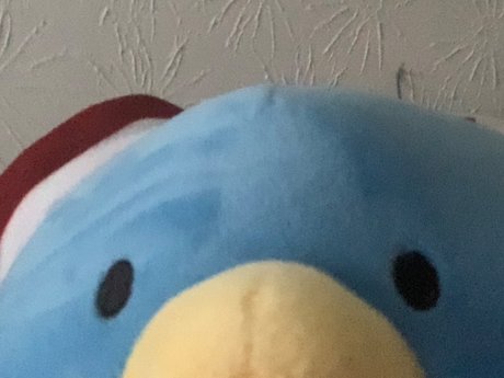 Micah he him_ top model pic