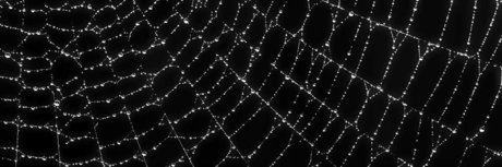 ry gravez free pornstar top gallery