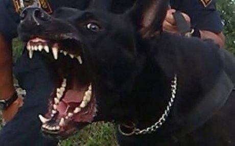 swim onlyfans beautiful nude photos