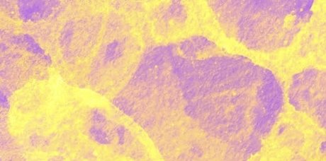 Emmy D nudes pornstar pic