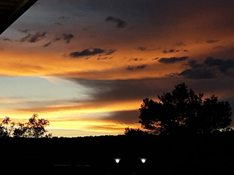 DarkWolfCarlton pornstar nice img