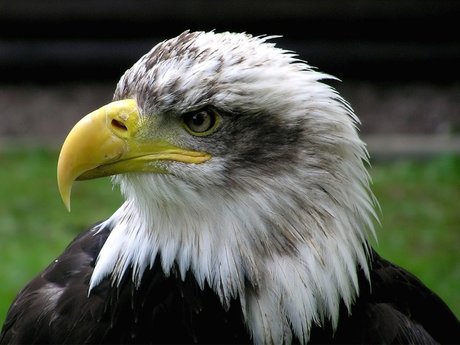 Tiffani_ pornstar pretty picture