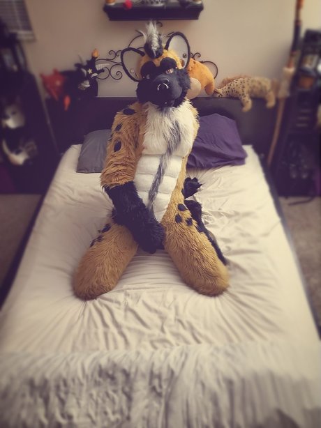 Big Daddy Steel porn model galleries