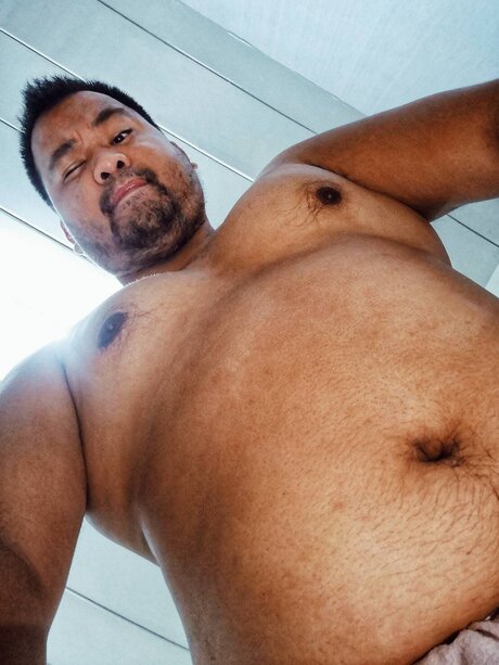 _Natt Black Bear_ hot star img