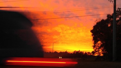 Freekman pornographic actress img