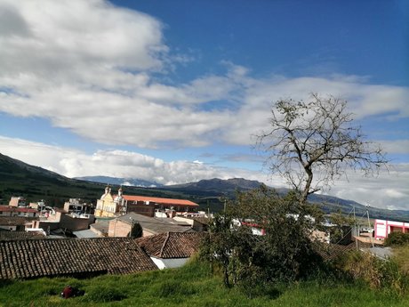 Nayely porn model img