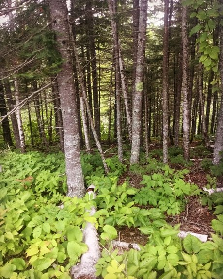 Chrissy_ art star pictures