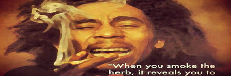 Ninja unicorn_ top profile image