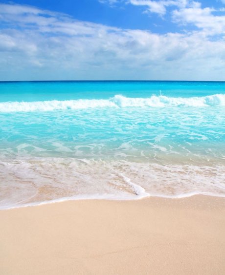 Cecii nice pornstar image