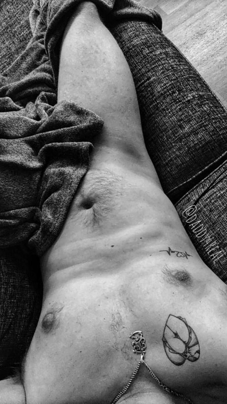 D ddy perfect star photo