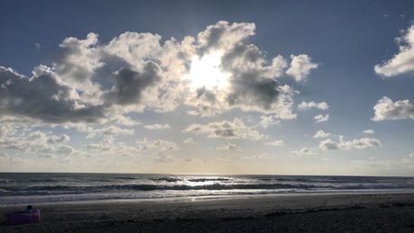 Hentai Grey pornstar nude pic