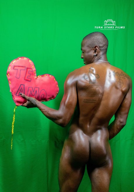 Niche Flow Element nudes actress pics