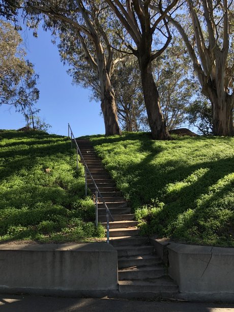 Scratch the Pup exclusive model gallery