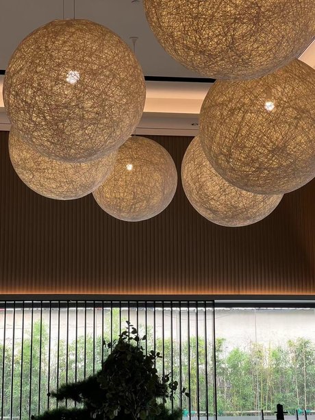 alexu224480919 xxx pornstar img