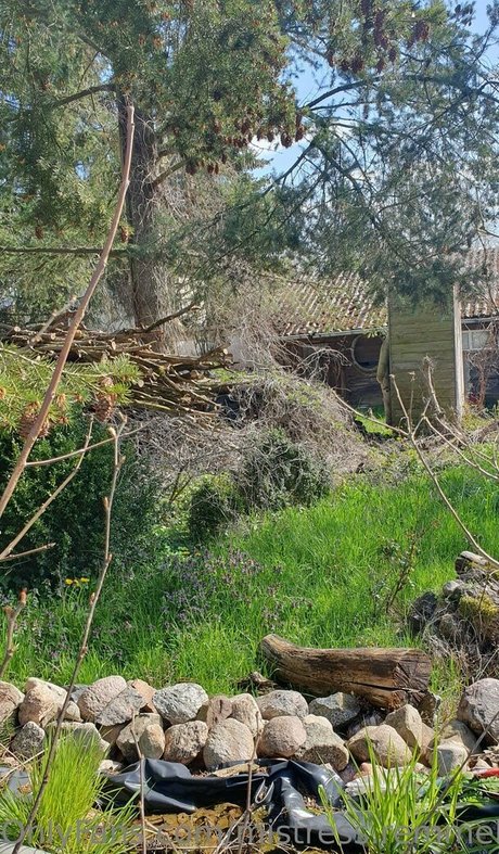 ebony cumshot onlyfans beautiful nude image