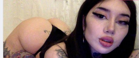 Kikobby star perfect gallery