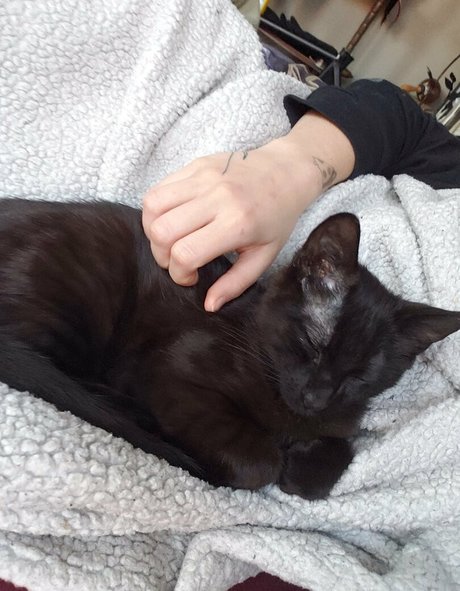 pussy milf onlyfans free pic