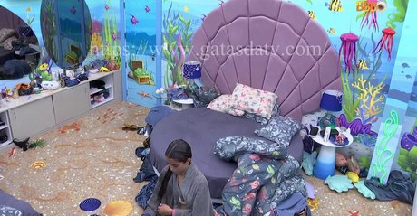 Big Brother Brasil 23 star xxx pictures