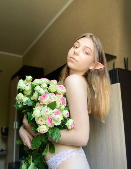 moon less star free pictures