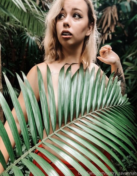 waverlyluxe sexy actress galleries