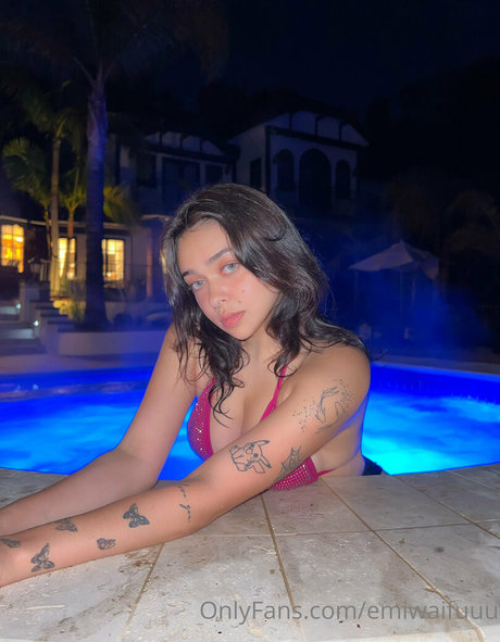 emiserinaa art star archive