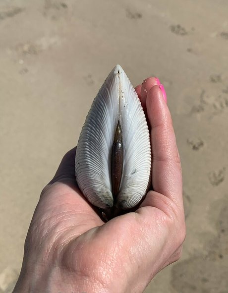 margotdeveraux hd star photos