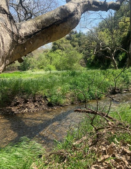 margotdeveraux pornstar best img