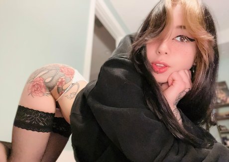 kiwisunsetvip star pretty galleries